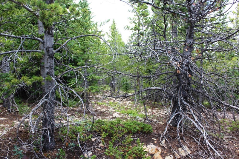 5285 Lucy Agnes Lot 5285, Black Hawk, CO 80422