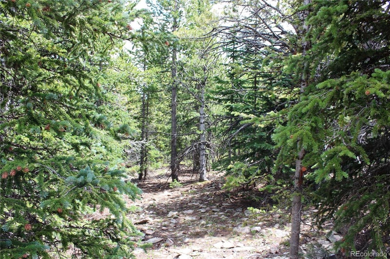 5285 Lucy Agnes Lot 5285, Black Hawk, CO 80422
