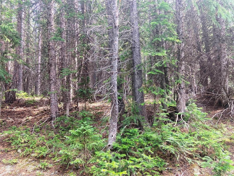 00 Fs 413 1 , Black Hawk, CO 80422