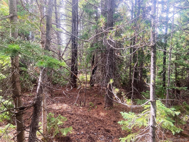 00 Fs 413 1 , Black Hawk, CO 80422