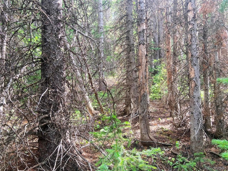 00 Fs 413 1 Lot 20109, Black Hawk, CO 80422