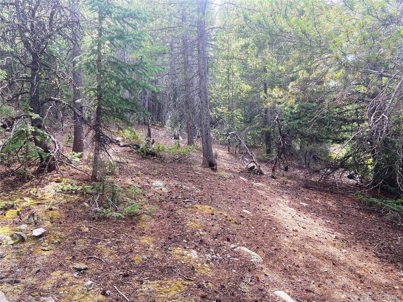 00 Fs 413 1 Lot 20109, Black Hawk, CO 80422