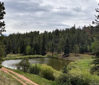 12447 S Danny Ave, Pine, CO 80470
