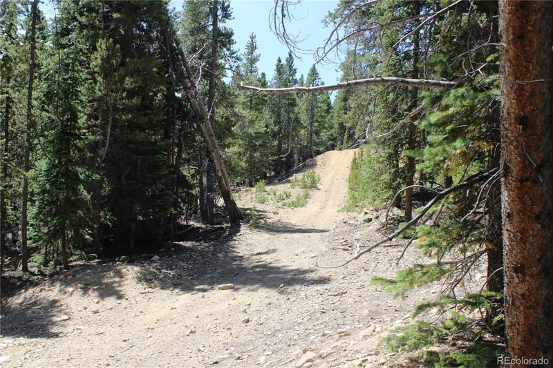 630 Fs 417 1 , Black Hawk, CO 80422