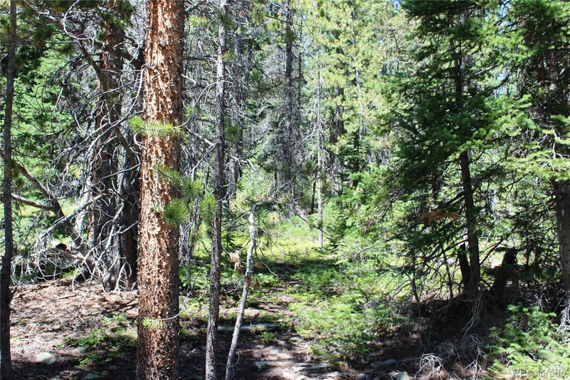 630 Fs 417 1 , Black Hawk, CO 80422