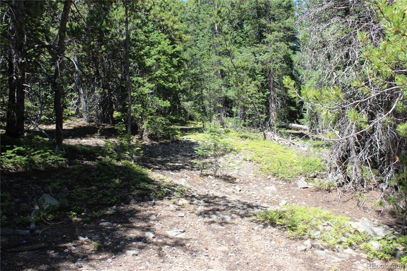 630 Fs 417 1 , Black Hawk, CO 80422