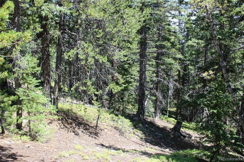 630 Fs 417 1 , Black Hawk, CO 80422