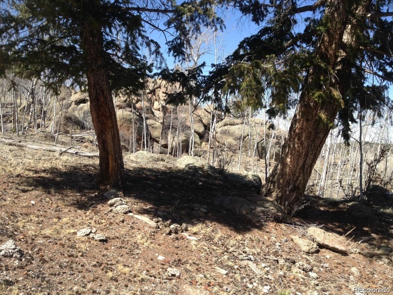 1681 Athapascan Rd, Hartsel, CO 80449