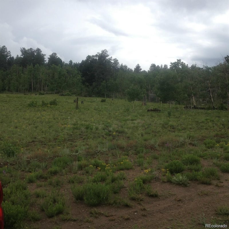 1681 Athapascan Rd, Hartsel, CO 80449