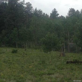 1681 Athapascan Rd, Hartsel, CO 80449