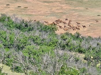 4347 Crowfoot Valley Rd, Castle Rock, CO 80108