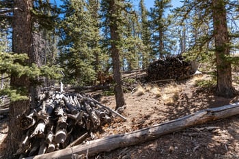 683 Latigo Loop, Hartsel, CO 80820