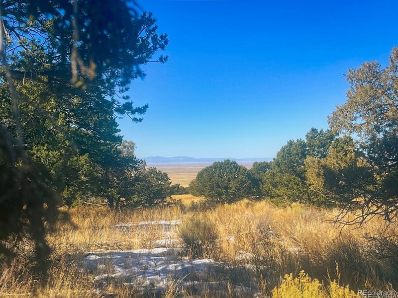 121 Cedar Ridge Rd, Mosca, CO 81146