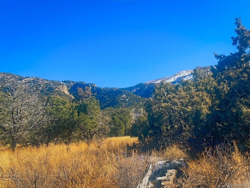 121 Cedar Ridge Rd, Mosca, CO 81146