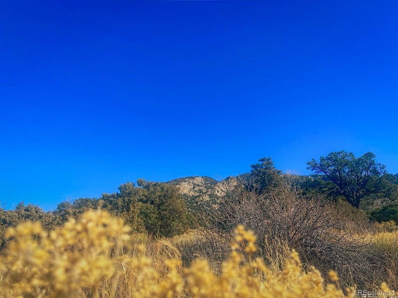 121 Cedar Ridge Rd, Mosca, CO 81146