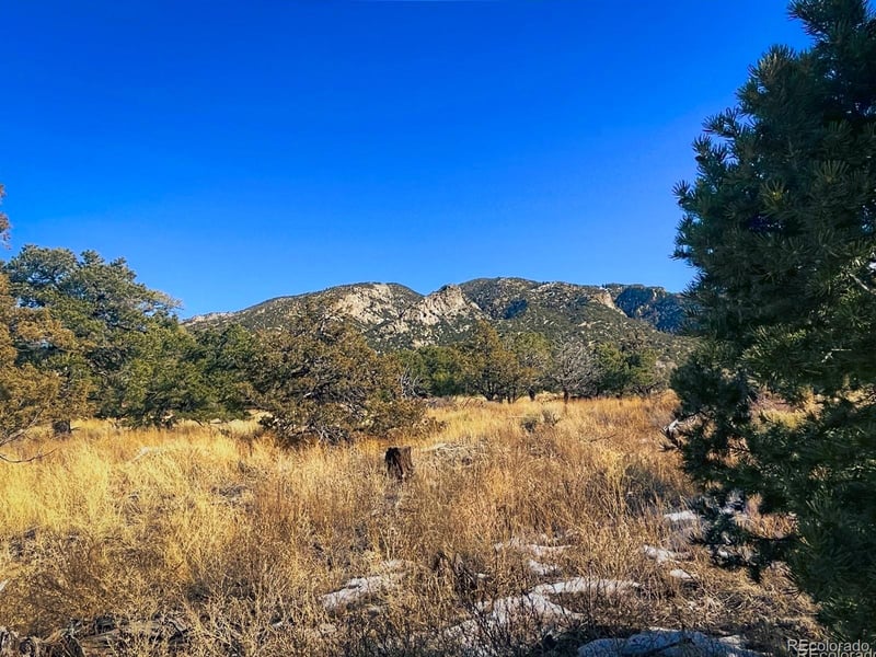 121 Cedar Ridge Rd, Mosca, CO 81146