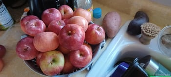 10642 Larson Dr, Northglenn, CO 80233