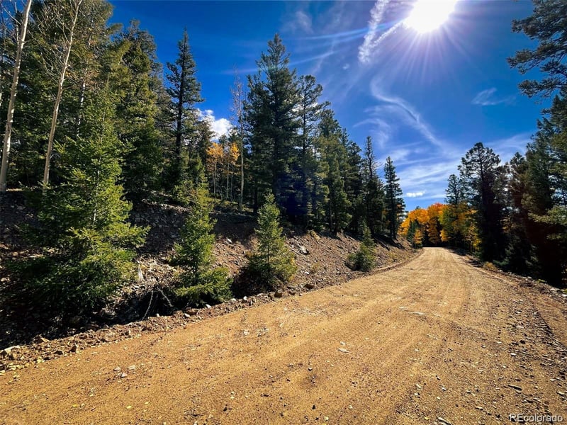 LOT 6187 Starkbeather Rd, Fort Garland, CO 81133