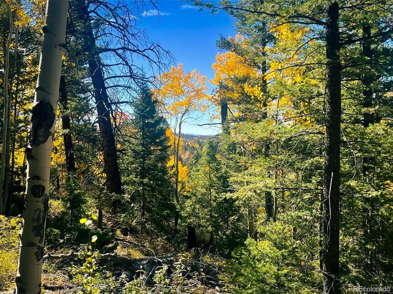 LOT 6187 Starkbeather Rd, Fort Garland, CO 81133