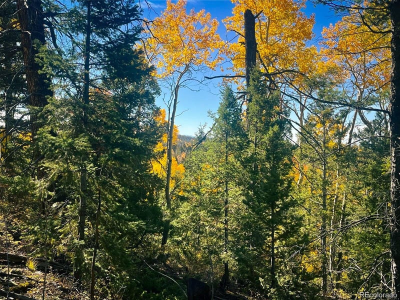 LOT 6187 Starkbeather Rd, Fort Garland, CO 81133