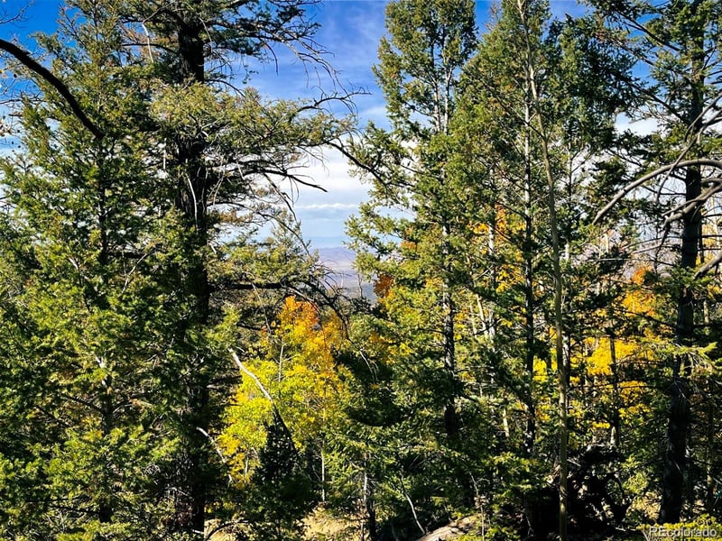 LOT 6187 Starkbeather Rd, Fort Garland, CO 81133