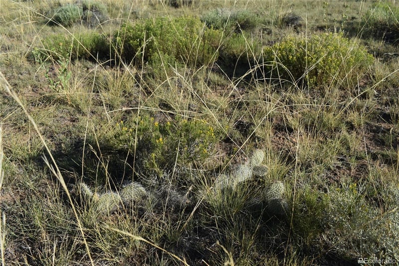 000 Lizard Ln Lot 146, Gardner, CO 81040
