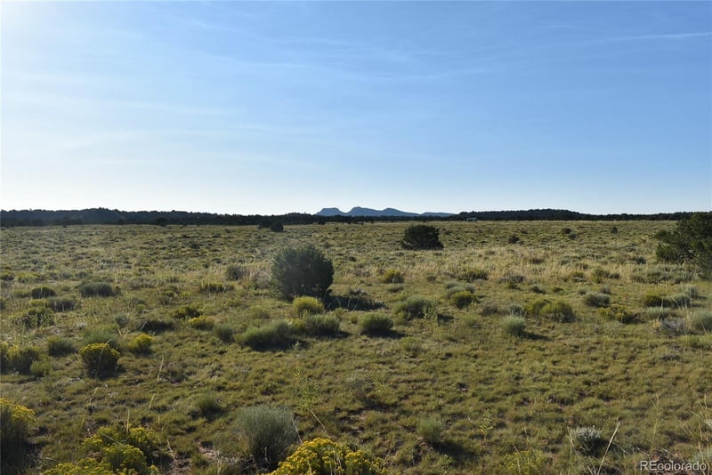 000 Lizard Ln Lot 146, Gardner, CO 81040