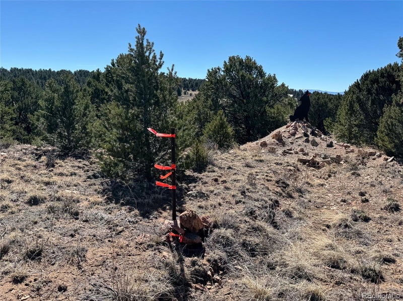 514 Kiowa Rd, Westcliffe, CO 81252