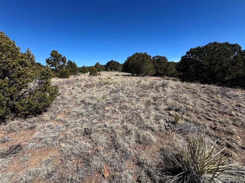 514 Kiowa Rd, Westcliffe, CO 81252