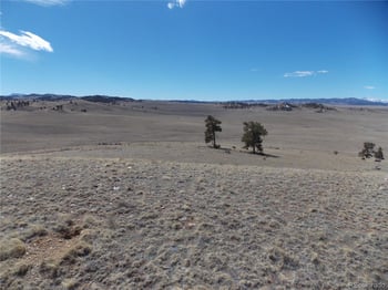 Lot 5795 Guipago Trl, Hartsel, CO 80449