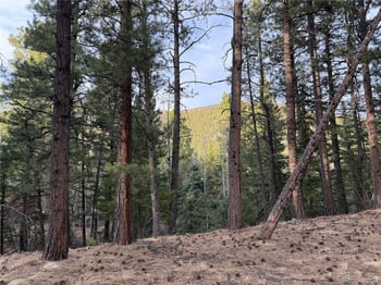 121 Coach Dr, Antonito, CO 81120