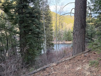 121 Coach Dr, Antonito, CO 81120