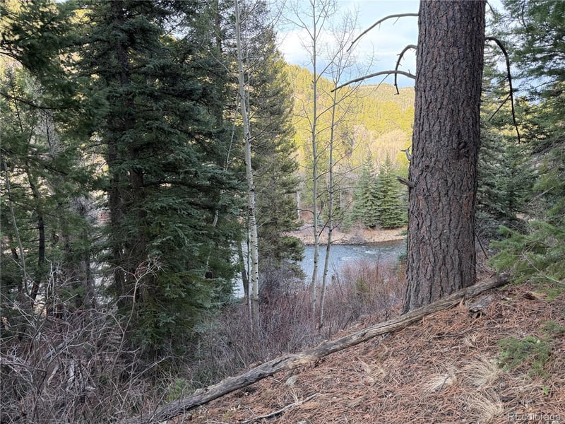 121 Coach Dr, Antonito, CO 81120