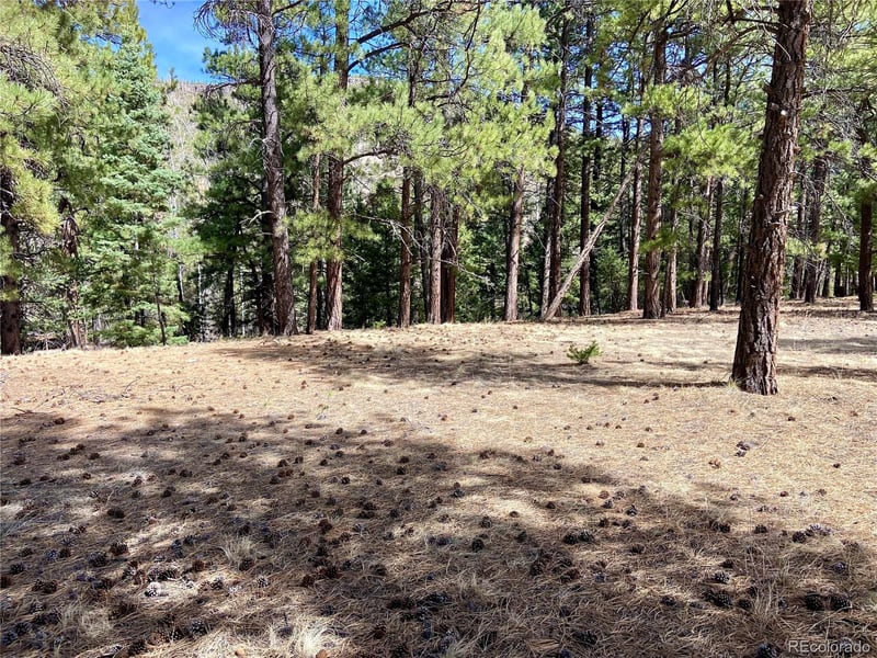 121 Coach Dr, Antonito, CO 81120