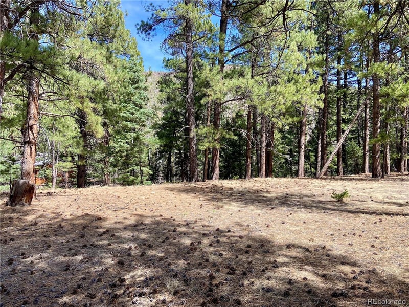 121 Coach Dr, Antonito, CO 81120