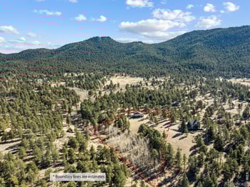 1661 Windham Ct, Estes Park, CO 80517
