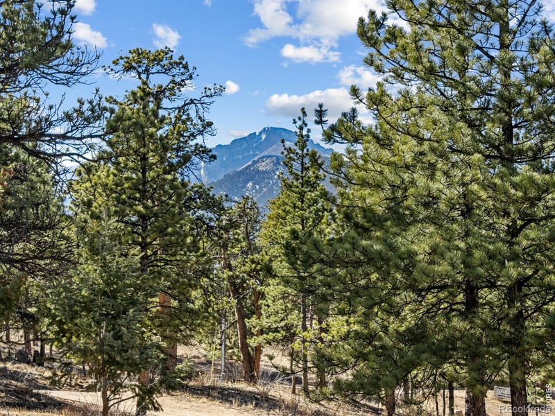 1661 Windham Ct, Estes Park, CO 80517
