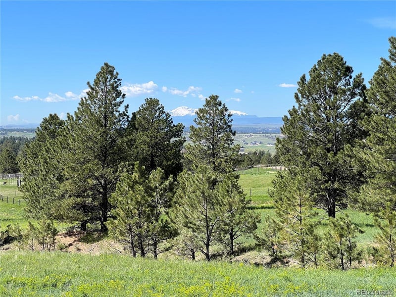 10290 Democrat Rd, Parker, CO 80134