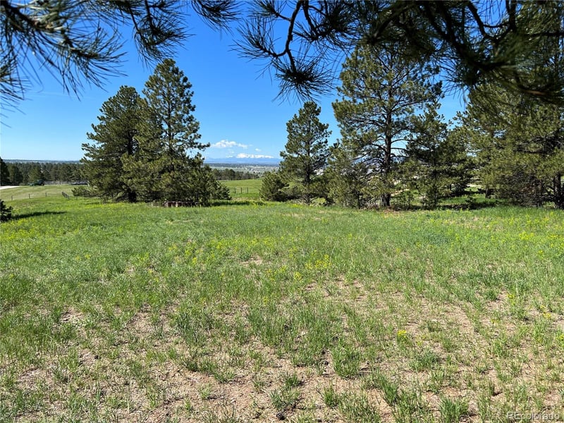 10290 Democrat Rd, Parker, CO 80134