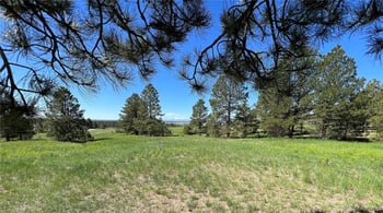 10290 Democrat Rd, Parker, CO 80134