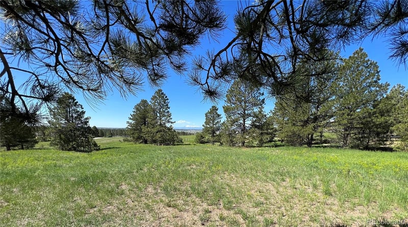 10290 Democrat Rd, Parker, CO 80134