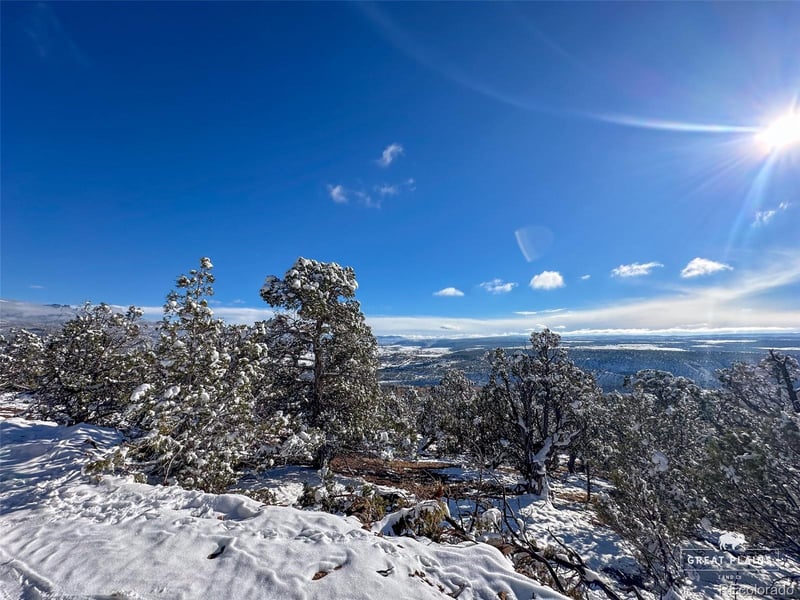 Greenwood Ave, Crawford, CO 81415