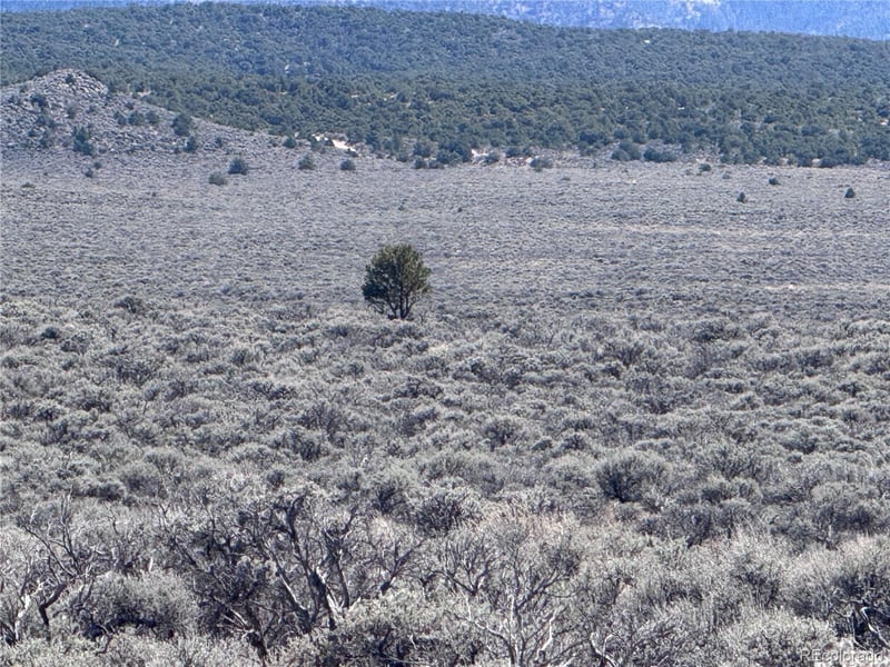 N 90 County Road 19 5, Fort Garland, CO 81133