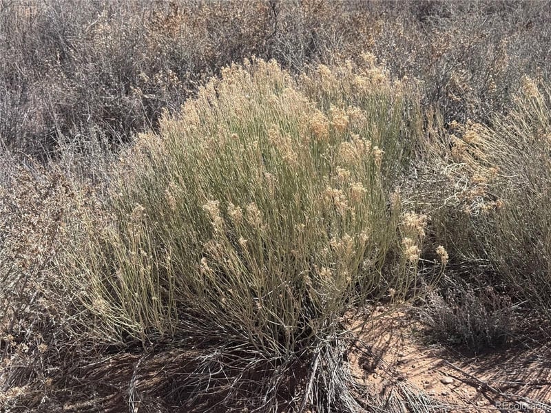 N 90 County Road 19 5, Fort Garland, CO 81133