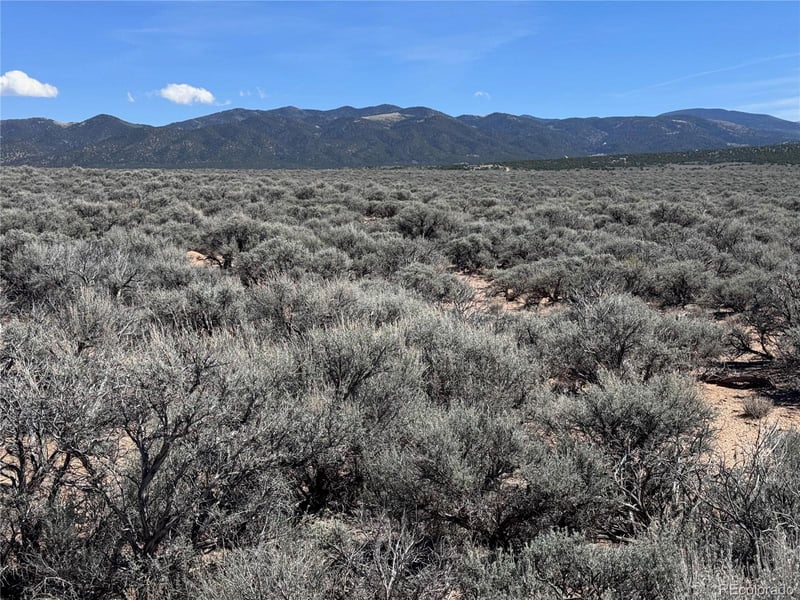 S 90 County Road 19 5, Fort Garland, CO 81133