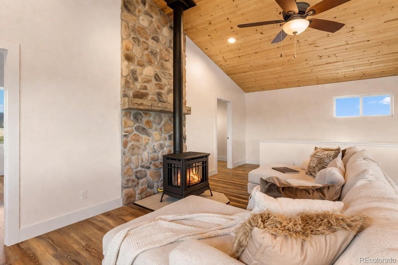 431 Rudisill St, Fairplay, CO 80440