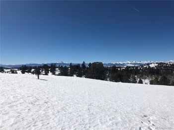 983 La Plata Cir, Hartsel, CO 80449