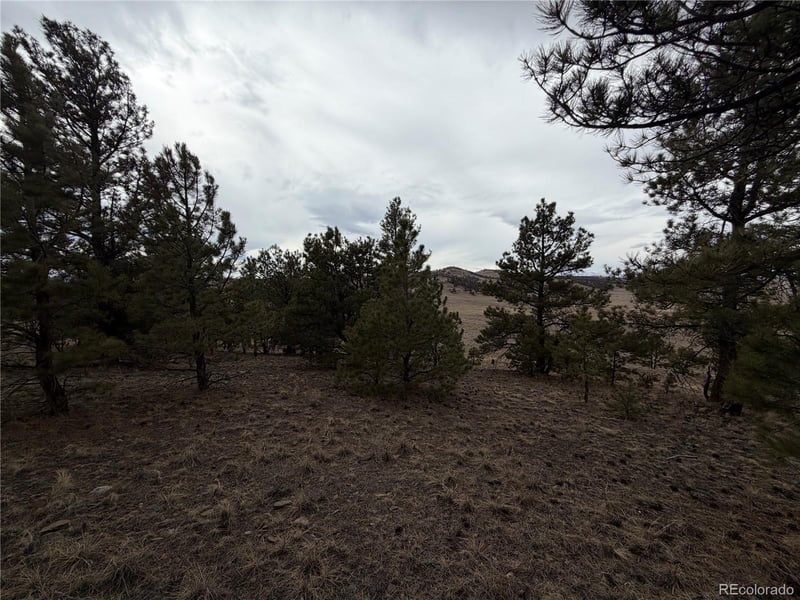 990 Coyotero Trl, Hartsel, CO 80449