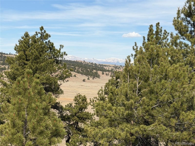 990 Coyotero Trl, Hartsel, CO 80449