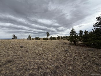 990 Coyotero Trl, Hartsel, CO 80449